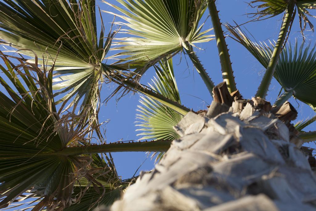 Sud Beach Hotel Fronte Mare By Ria Hotels Marina Di Pulsano 客房 照片