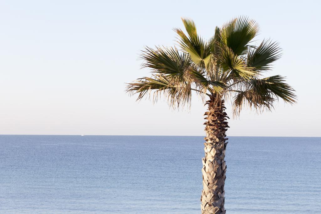Sud Beach Hotel Fronte Mare By Ria Hotels Marina Di Pulsano 客房 照片